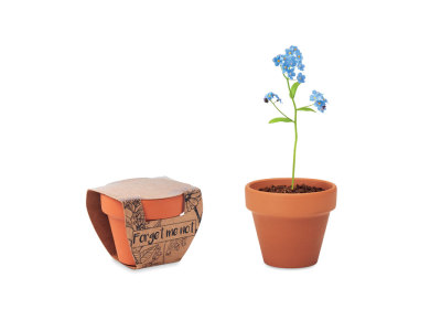 FORGET ME NOT - Potje Vergeet-me-nietjes FORGET ME NOT - Potje Vergeet-me-nietjes