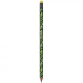 BIC® Evolution Digital Ecolutions® pencil Colour Connection BIC® Evolution Digital Ecolutions® pencil Colour Connection