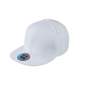 6 Panel Pro Cap Style 6 Panel Pro Cap Style
