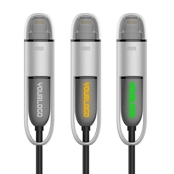 LogoCharge MFI - silver LogoCharge MFI - silver